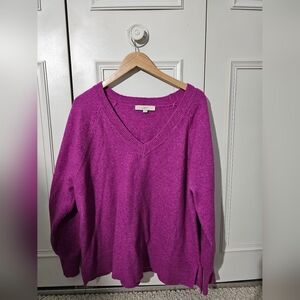 LOFT Magenta V-Neck Women's Sweater